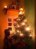 Weihnachtsmarkt schottenpenny