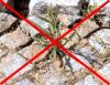 Selbständige,  sicher Existenz als Dienstleister im Gartenbereich