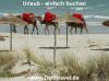 Tunesien,  Djerba  ab 199 Euro
