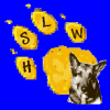 Hundeschule Wiesbaden Active-Dog....Harmonie Mensch - Hund... Mainz,  Taunusstein