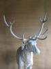 BRONZE HIRSCH    lebensgroß