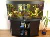 Juwel Vision 260 ,  2jahre alt komplett   154 Liter Becken Set