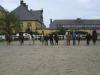 Reitbeteiligungen ; Westfale,  Reitpony,  Vollblutaraber,  Welsh A