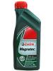MOTORÖL von ARAL und CASTROL