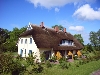 Reetdach-Ferienhaus auf Rügen