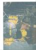 hard und heavyband steelfire  sucht sänger/ in