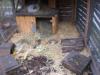 Versschenke Liebe eit und Platz