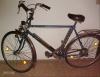 Wertvolles Trekkingrad mit technischen Besonderheiten