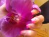 Verena s Nailsmobil - Naildesign zu fairen Preisen