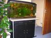 Aquarium 200L - Gebogene Frontscheibe + Zubehör