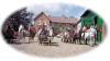 Reiterferien an der Ostsee