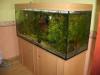 Aquarium 670 l l/ b/ h = 160/ 60/ 70 Unterschrank Abdeckung zu verkaufen