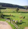 boxen frei in Hattingen
