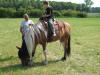 Reiten für Kinder, ältere Reitanfänger und Wiedereinsteiger