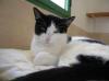 Tina,  einfach NUR NUR lieb!