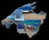 Mallorca Ihr privates Ferienhaus,  Ferienwohnung,  Apartment oder Finca