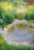 Teichbau Schwimmteich Koiteich