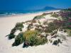 Urlaub in Dénia 2025 – Jetzt Lastminute buchen & Sonne tanken!