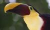 Mittelamerika Rundreise Costa Rica - Nicaragua - Panama,  15 Tage