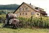 Sommer im Moseltal 4x Halbpension 120, -€ pro Person