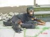 Rottweiler Welpen ADRK/ VDH