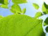 www.NaturalLiving-Shop.Jimdo.com Naturkosmetik Shop