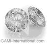 Weisser Diamant - 0.89 Karat