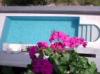 Kroatien Ferienwohnung mit pool