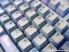 4 Mitarbeiter/ innen mit PC-Kenntnissen gesucht !
