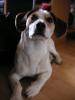 Hallo ich bin der benny