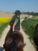 Suche REITBETEILIGUNG | Englischer Reitstil