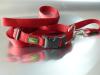 Neuwertig: Halsband rot,  Gummihahn,  2 Näpfe,  Papiertütchen,  Heft