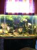Meerwasser Aquarium ca.300 l VB 990, 00 €