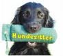 suche Hundezubehör  ! geschenkt !