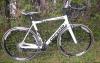 Original Rennrad CSC Saxo Team 2008