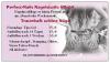 Nagelstudio Perfect-Nails -Hohenwarsleben