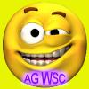 **Agentur bietet Chat s mit HOHER Traffic**