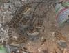 Gebe junge Bartagamen  Pogona vitticeps  ab