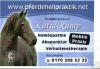 KOLLOIDALES SILBERWASSER AUS TIERHEILPRAXIS