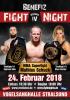 Benefiz Fight Night - Round IV