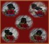 Yorkshire Terrier Welpen VDH/ FCI