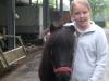 Suche Pflegepferd in Delbrück