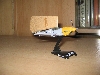 10 vers. Kampfflugzeugmodelle