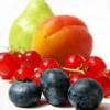 wellness-online-check
