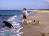Hundepension in MV/ Rostock/ Güstrow/ Laage. T.03845930965