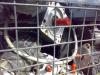 Wer sucht gebrauchte,  alte Elektromotoren? wir kaufen. verwetung Getriebemotoren
