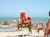 Tunesien 14 Tage ab 303 €