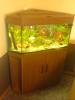 Juwel Delta 100 Eckaquarium - Aquarium - 160 L. mit Zubehör