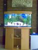 Aquarium Juwel Vision 180