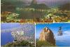 Single-Reise nach Rio